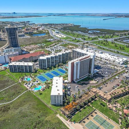 1204 Saida I - Beach Front South Padre Island Exterior photo